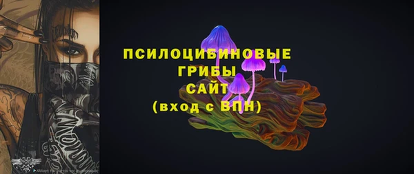 бошки Аркадак